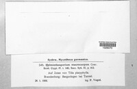 Bipolaris oryzae image